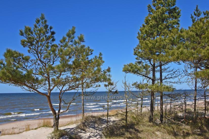 Apartament Optimistas Połąga Zewnętrze zdjęcie